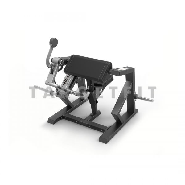 Biceps Curl Spirit SP-4513