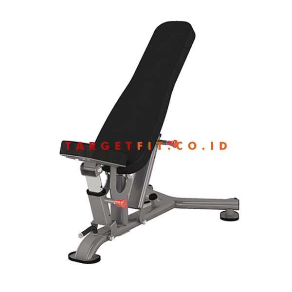 Insight Adjustable Bench DR016