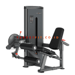 Insight Leg Curl and Extension DA025