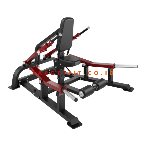 Insight Triceps Curl DH019