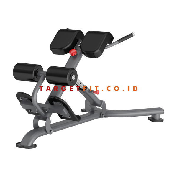Insight Back Extension DR010