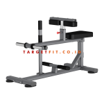 Insight Seated Calf Raise DR011