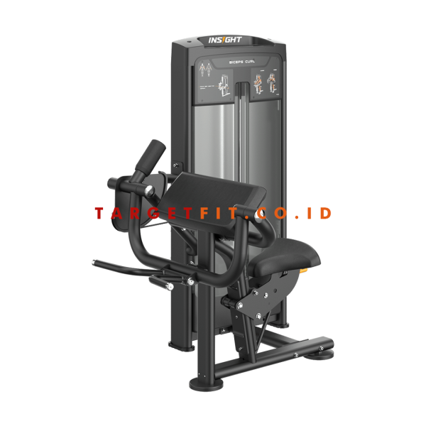 Insight Biceps Curl RE8006