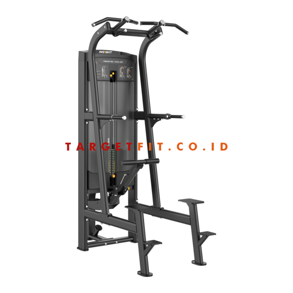 Insight Assisted Chin and Dip RE8008