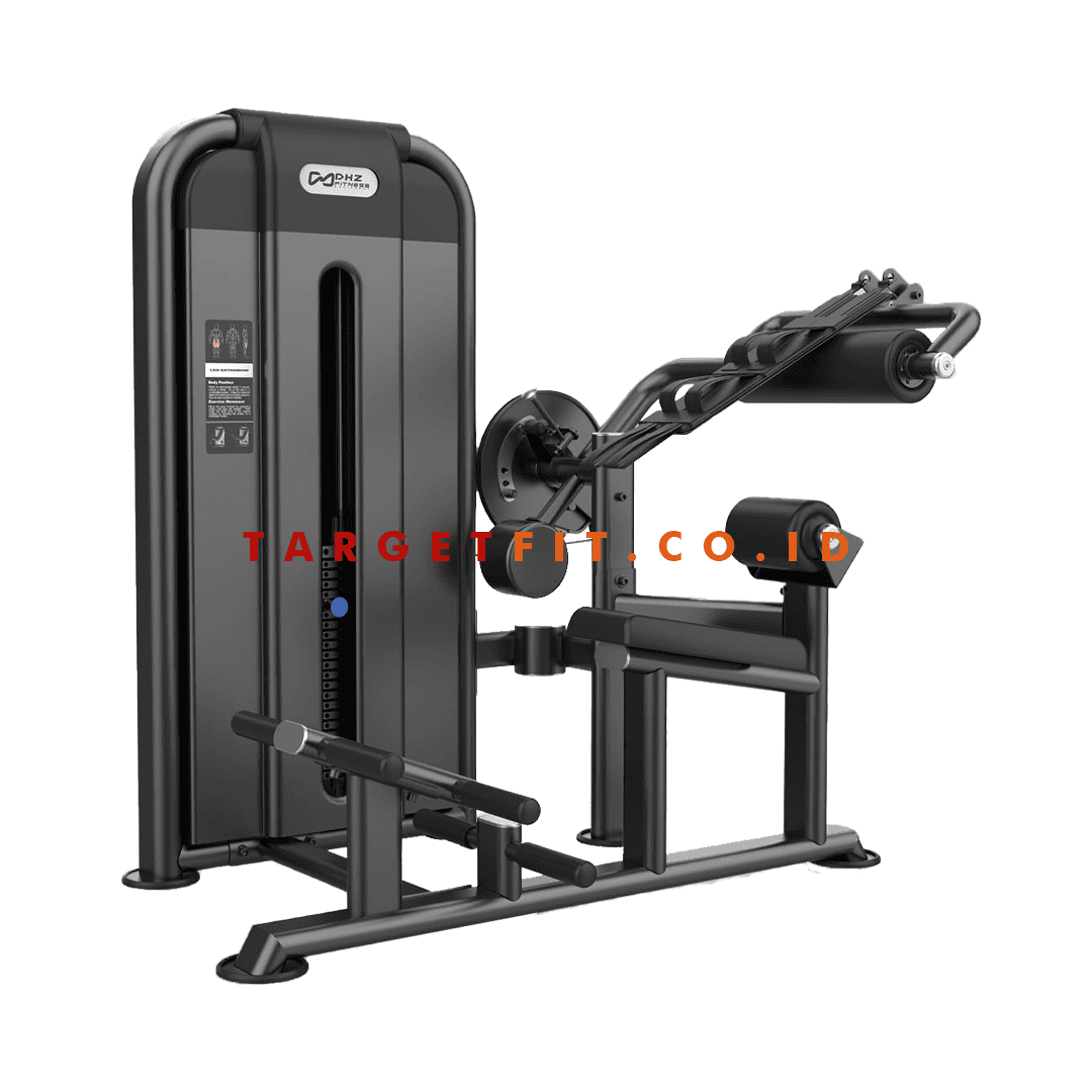 DHZ Abdominal and Back Extension U2088D Predator Series
